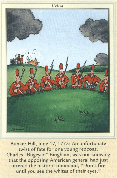 Bunker Hill image